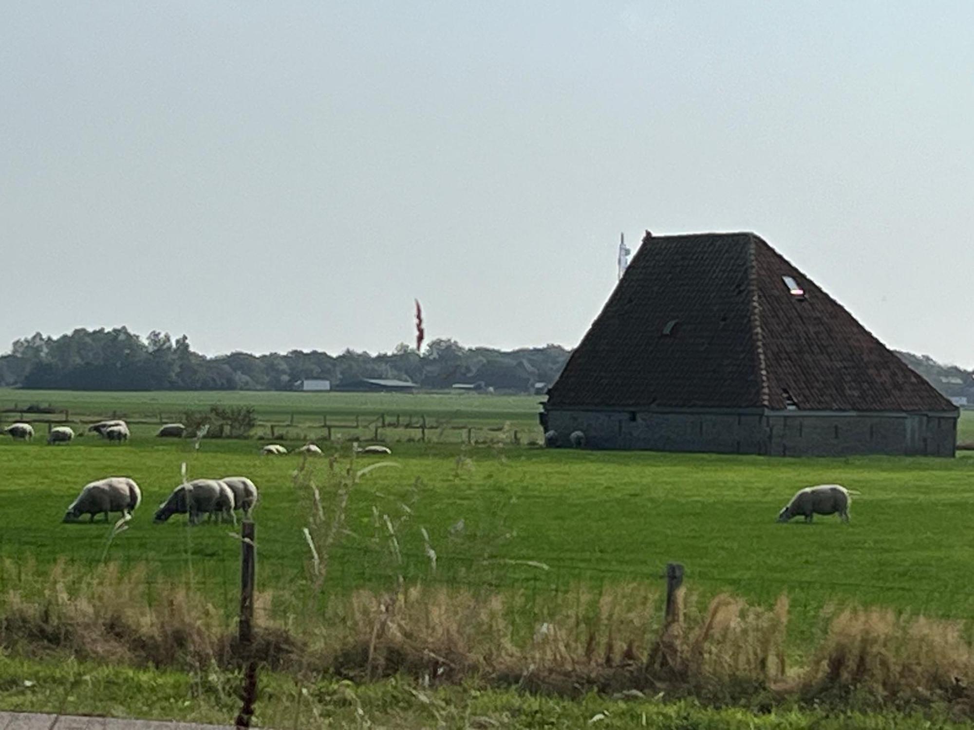 Gastsuite Het Duinroosje Met Hottub Op Het Prive Terras! Den Burg Luaran gambar